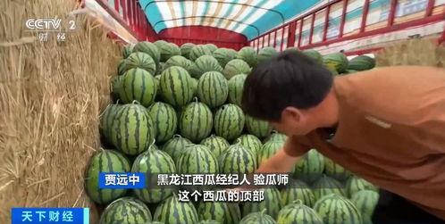 刘德福吃瓜,揭秘娱乐圈幕后故事