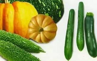 老贺吃瓜,揭秘娱乐圈那些不为人知的幕后故事