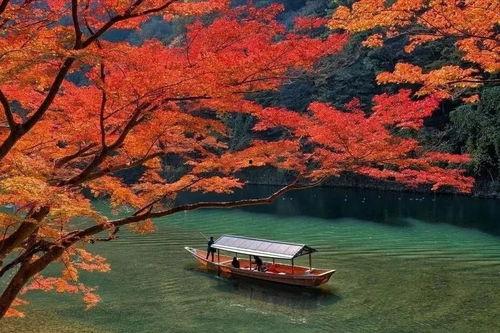 岚山映像吃瓜,揭秘网红美食背后的吃瓜故事