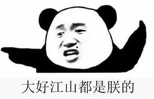 吃瓜群我看,揭秘网络社交背后的趣味与真相