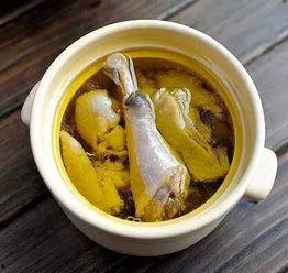 B站吃瓜喝鸡汤,揭秘网络红人的酸甜苦辣人生