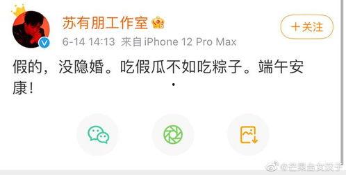 如何登录吃瓜网页,畅享吃瓜乐趣——揭秘吃瓜网页登录攻略