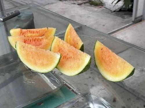 夏天吃瓜自由,解锁吃瓜自由新境界