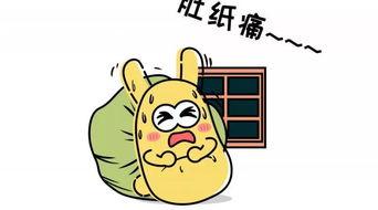 吃瓜群众985038,吃瓜群众的狂欢盛宴